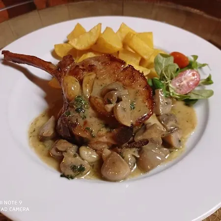Zaječák Penzion Zaječí
