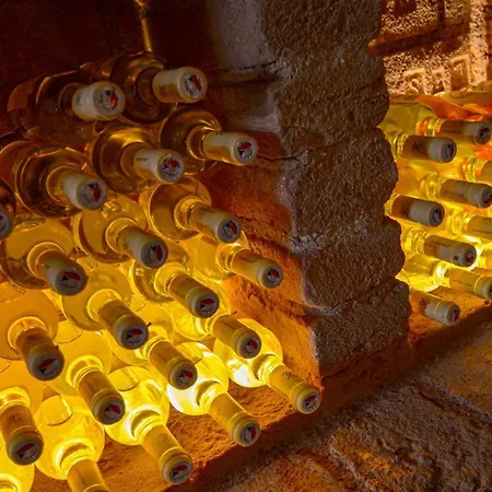 게스트하우스 Zajecak