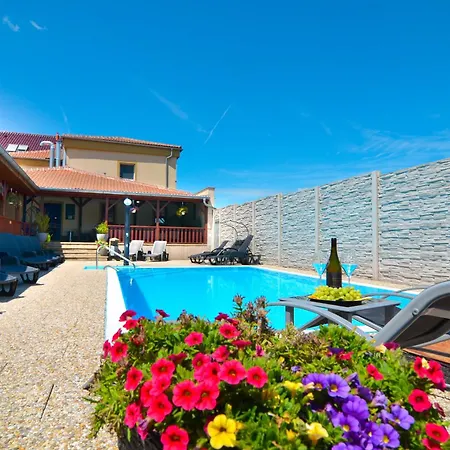 Zajecak Guest house *